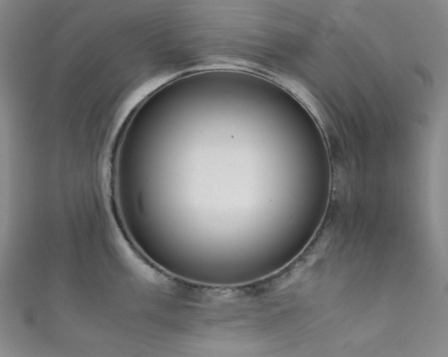 X0000111861003200907231448