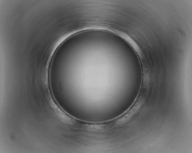 X0000111861004200907231448