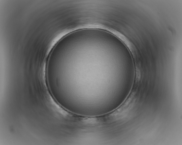 X0000111861006200907231448