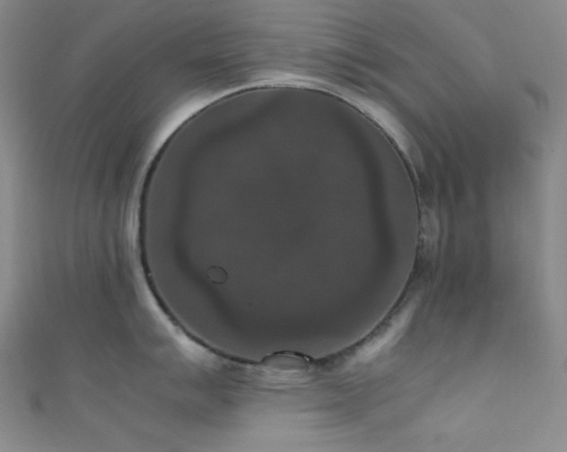X0000111861007200907231448