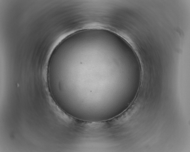 X0000111861008200907231448