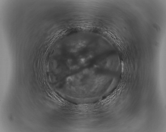 X0000111861009200907231447