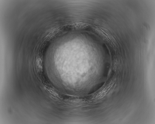 X0000111861010200907231447