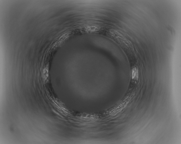 X0000111861011200907231447