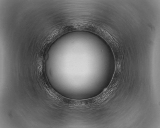 X0000111861012200907231447