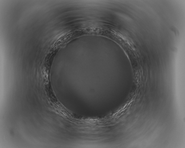 X0000111861013200907231447