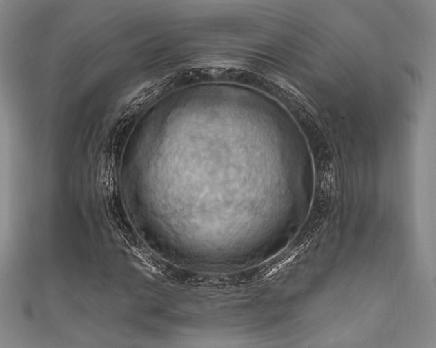 X0000111861014200907231447