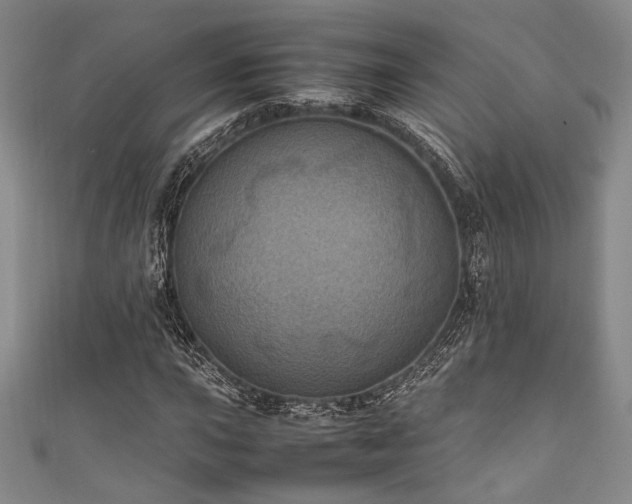 X0000111861015200907231447