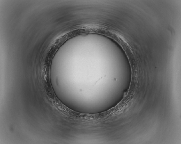 X0000111861016200907231447