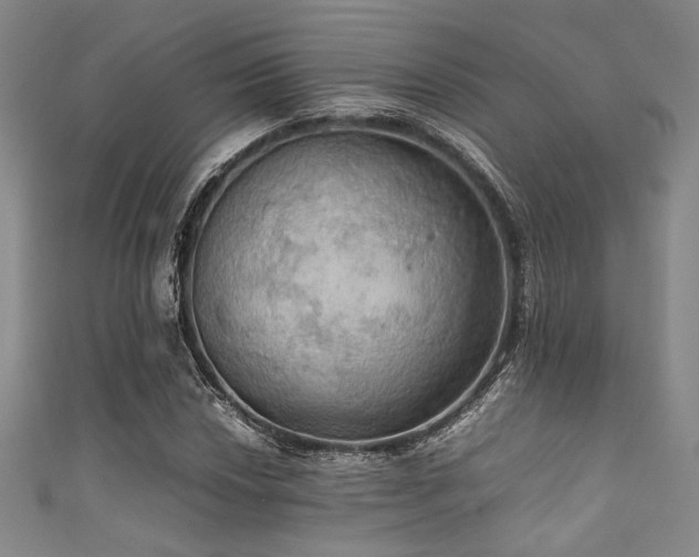X0000111861018200907231447