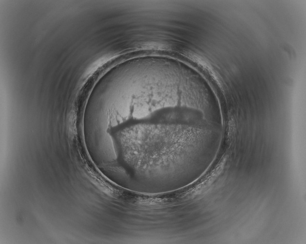 X0000111861019200907231447