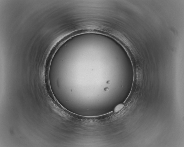X0000111861020200907231447