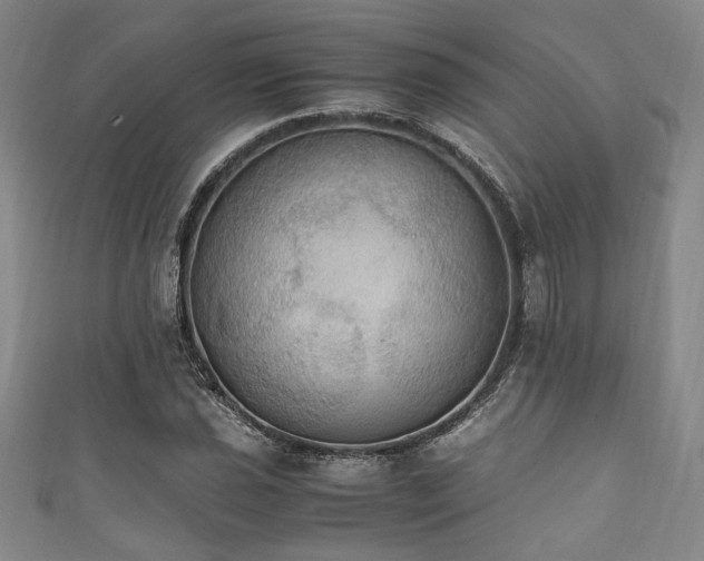 X0000111861021200907231447