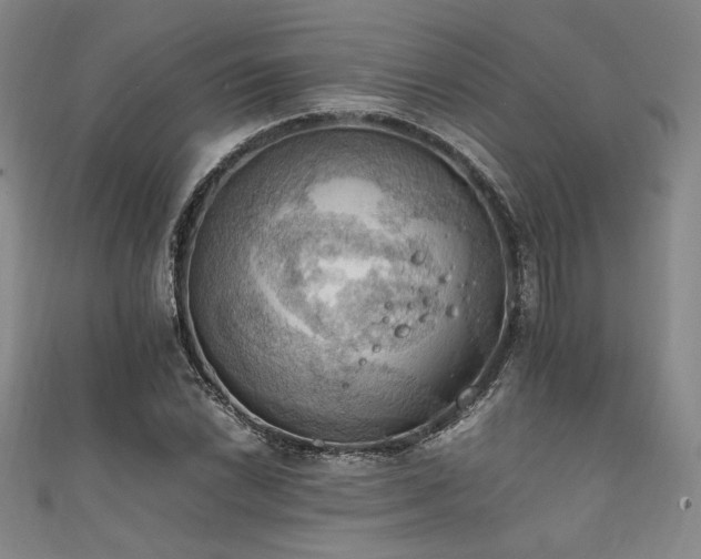 X0000111861022200907231447