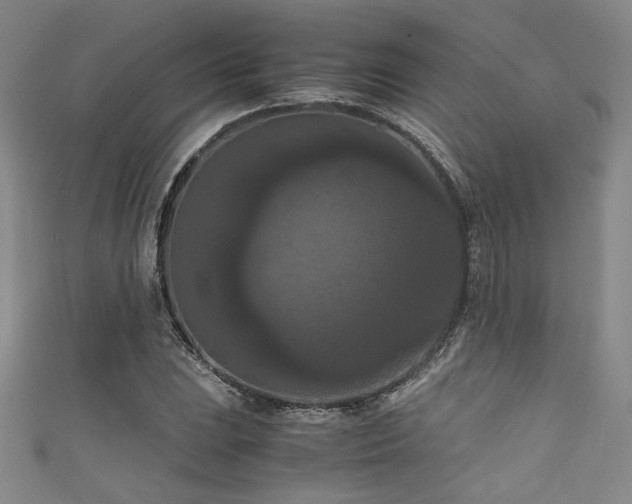 X0000111861023200907231447