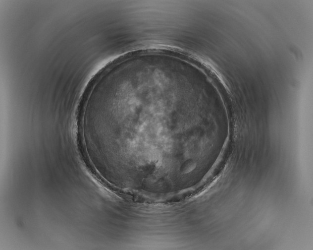 X0000111861024200907231447