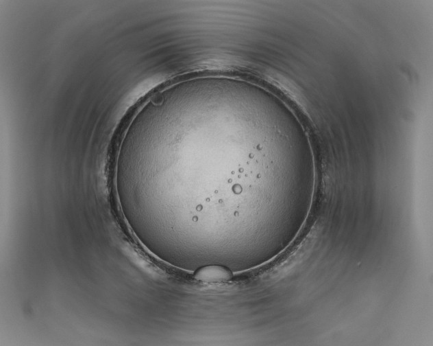 X0000111861026200907231447