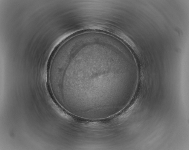 X0000111861028200907231447