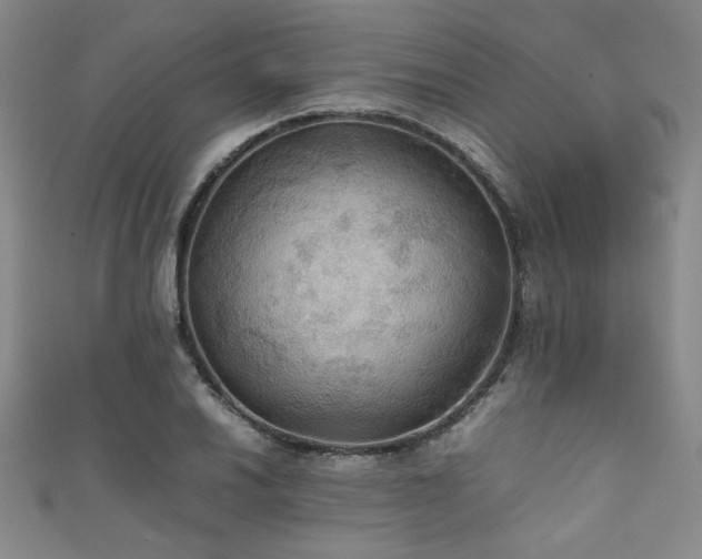 X0000111861030200907231447