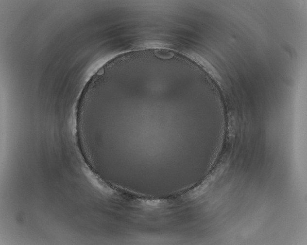 X0000111861031200907231447