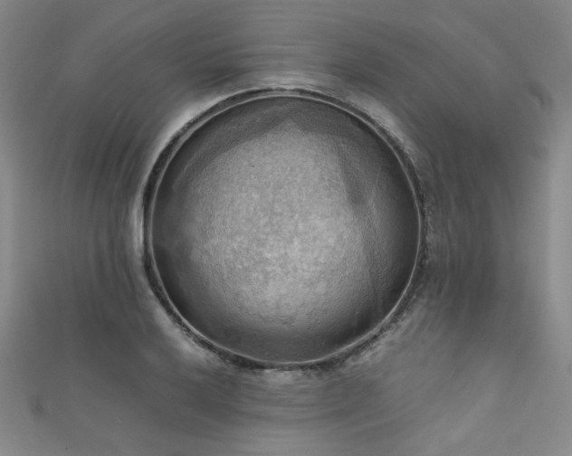 X0000111861032200907231447