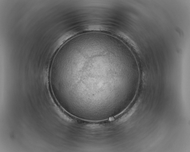 X0000111861033200907231447