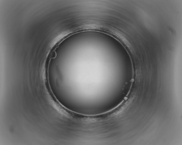 X0000111861034200907231447