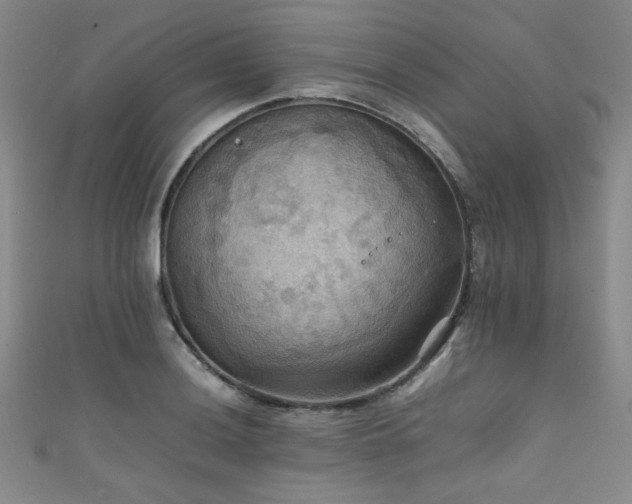 X0000111861036200907231447