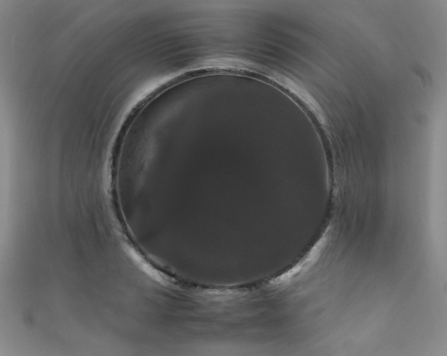 X0000111861037200907231447