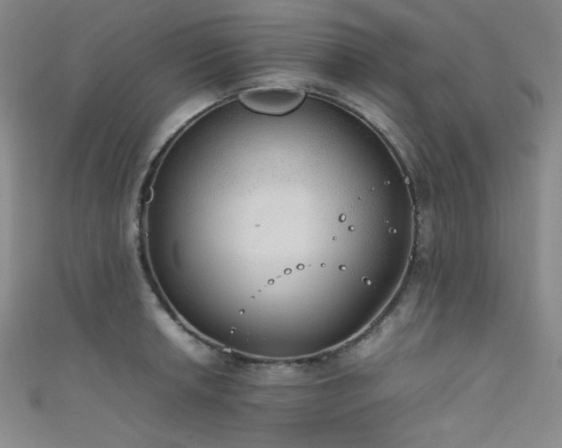 X0000111861042200907231448
