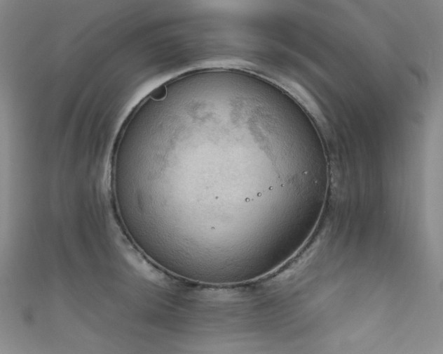 X0000111861044200907231448