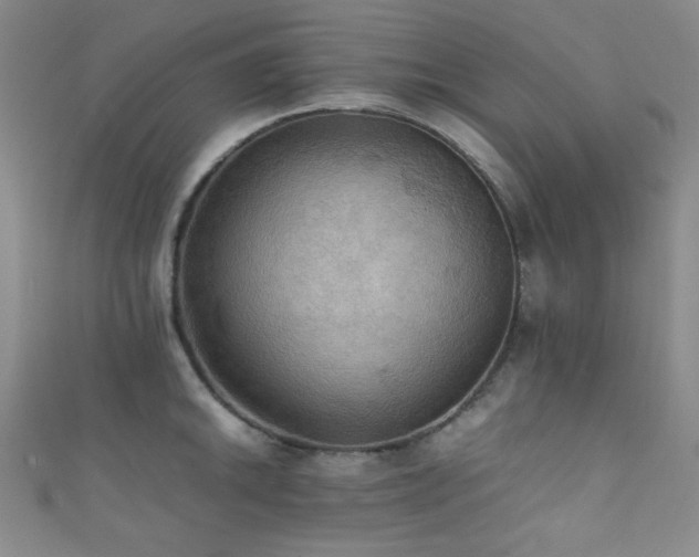 X0000111861046200907231448