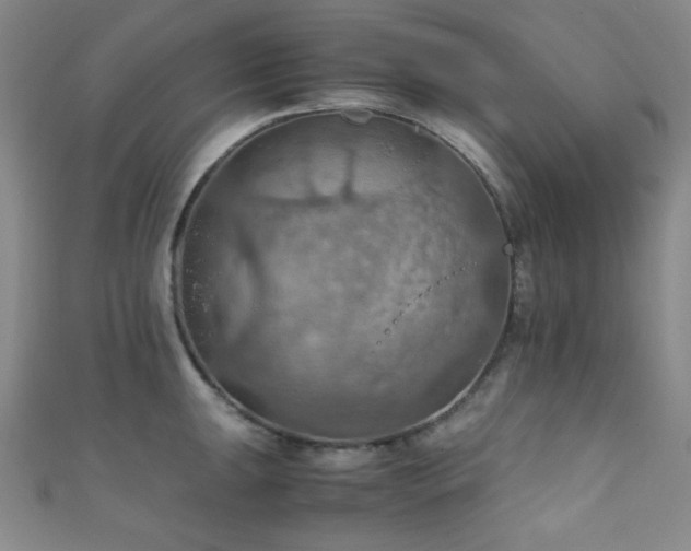 X0000111861047200907231448