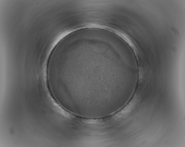 X0000111861048200907231448