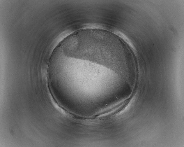 X0000111861049200907231448
