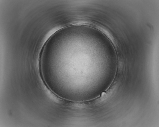 X0000111861050200907231448