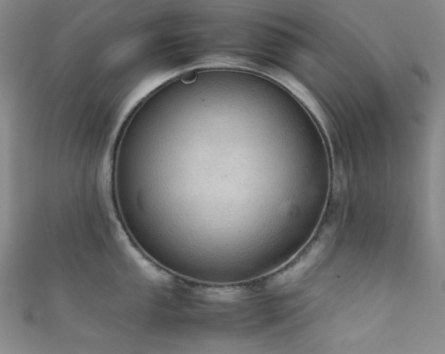 X0000111861053200907231448