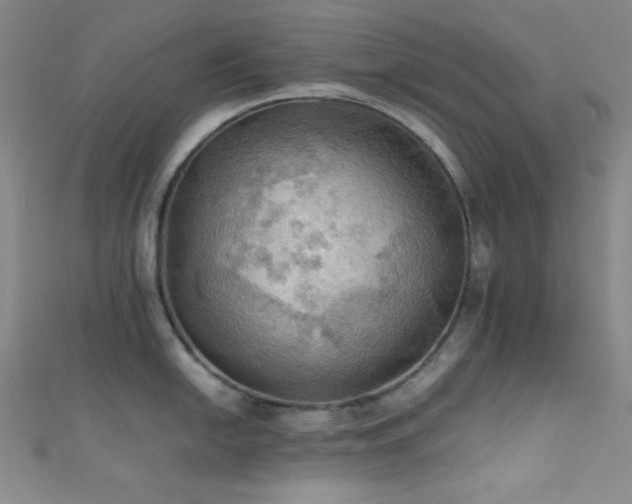 X0000111861054200907231448