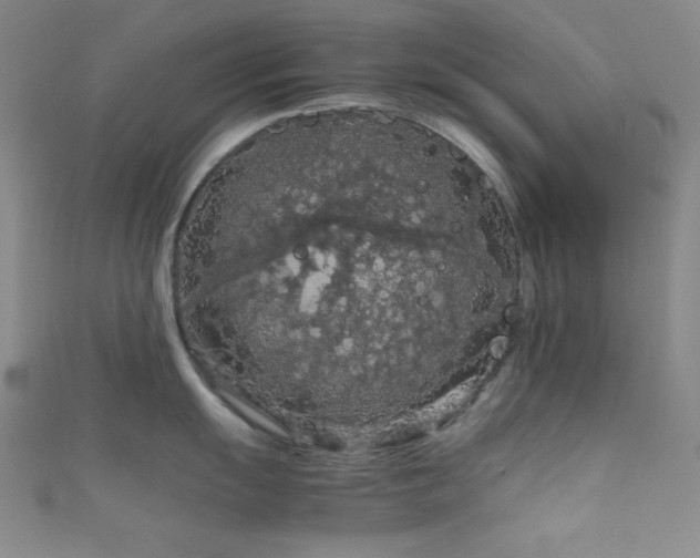 X0000111861055200907231448