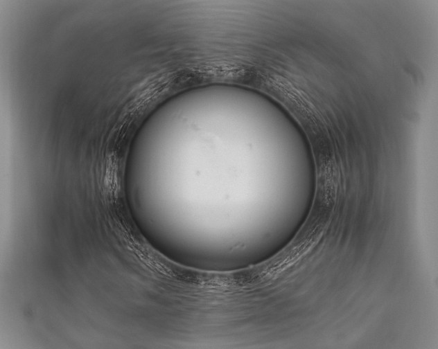 X0000111861058200907231447