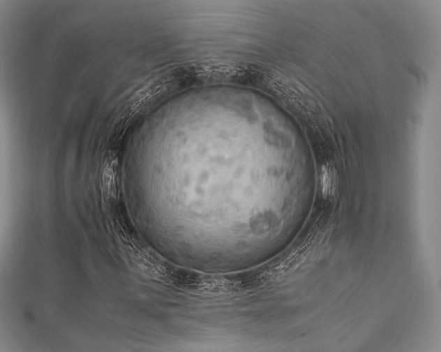 X0000111861059200907231447