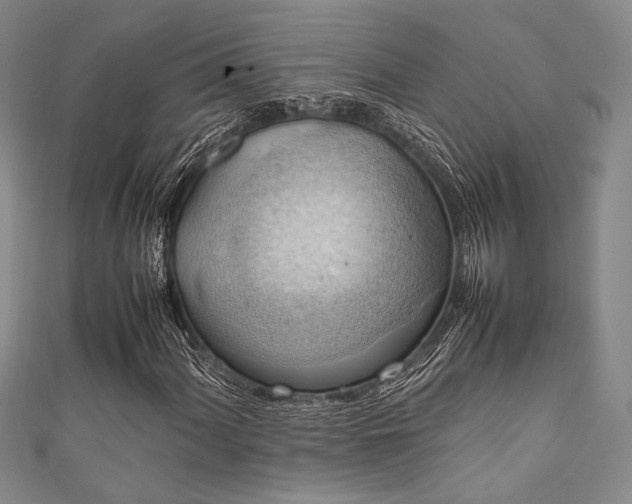 X0000111861060200907231447