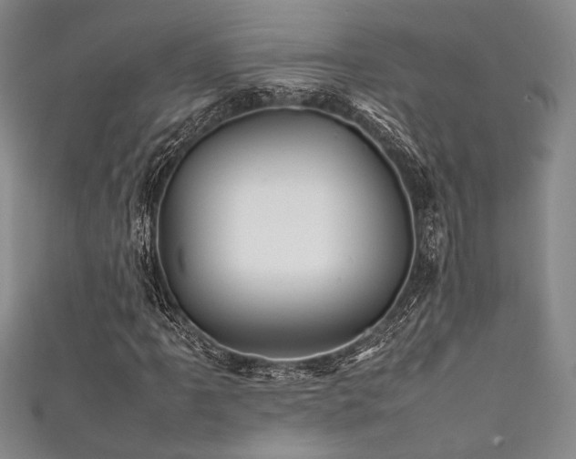X0000111861061200907231447