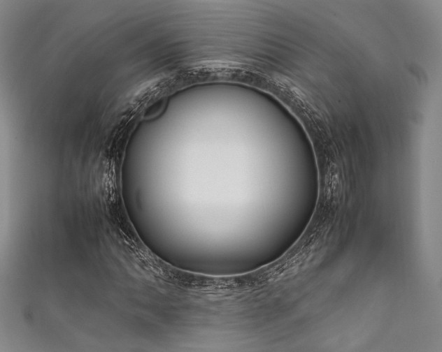 X0000111861062200907231447
