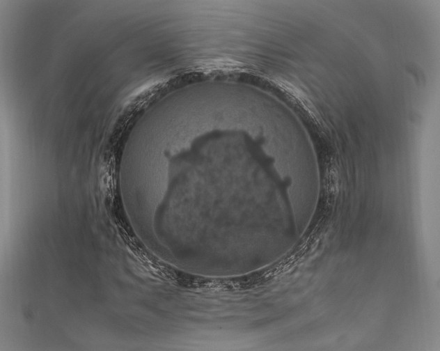 X0000111861063200907231447
