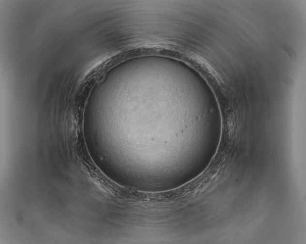 X0000111861064200907231447