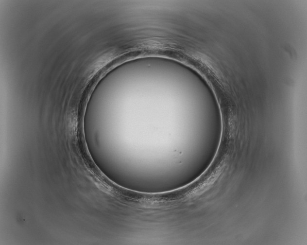 X0000111861065200907231447