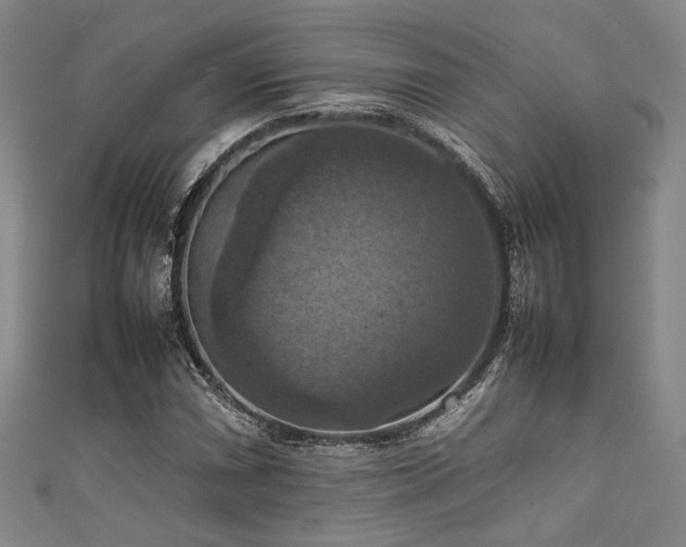 X0000111861066200907231447