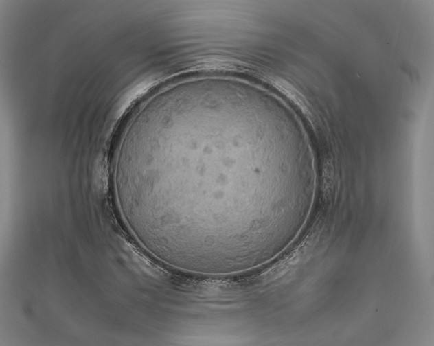 X0000111861067200907231447