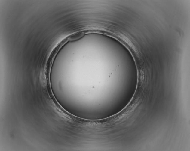 X0000111861068200907231447